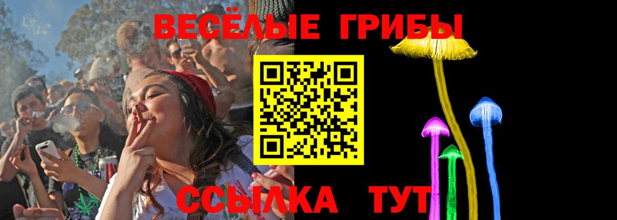 дарнет шоп  Галлюциногенные грибы прущие грибы  Вход с VPN  Зеленогорск  Псилоцибиновые грибы GOLDEN TEACHER 