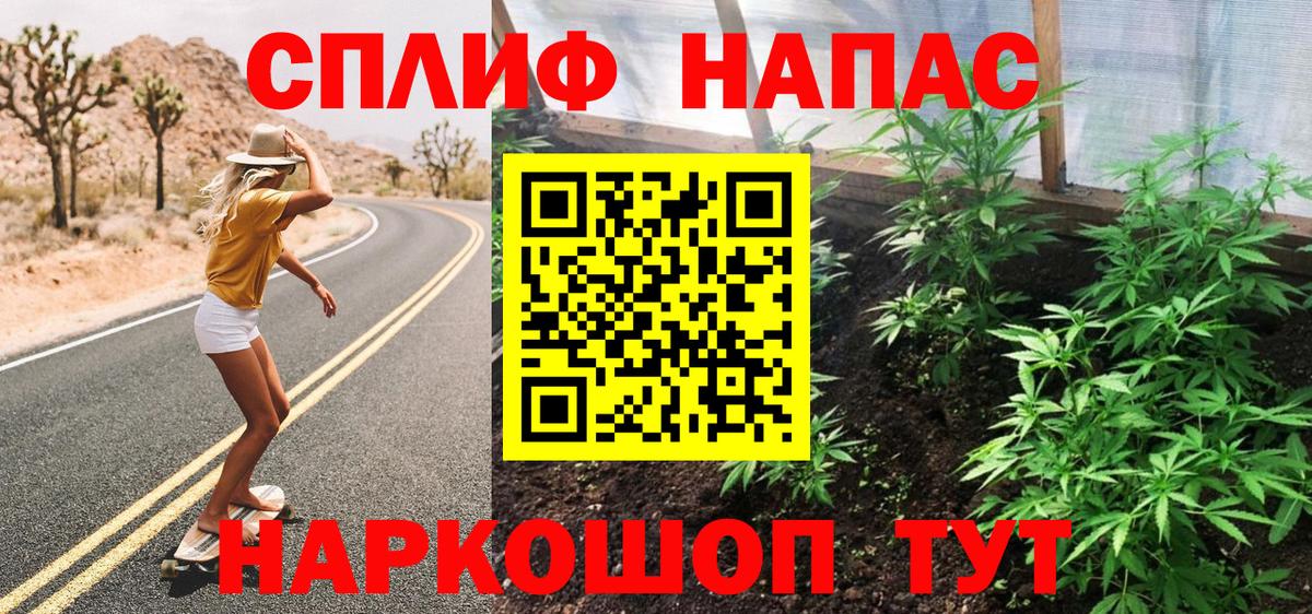 Бошки Шишки ГИДРОПОН Зеленогорск